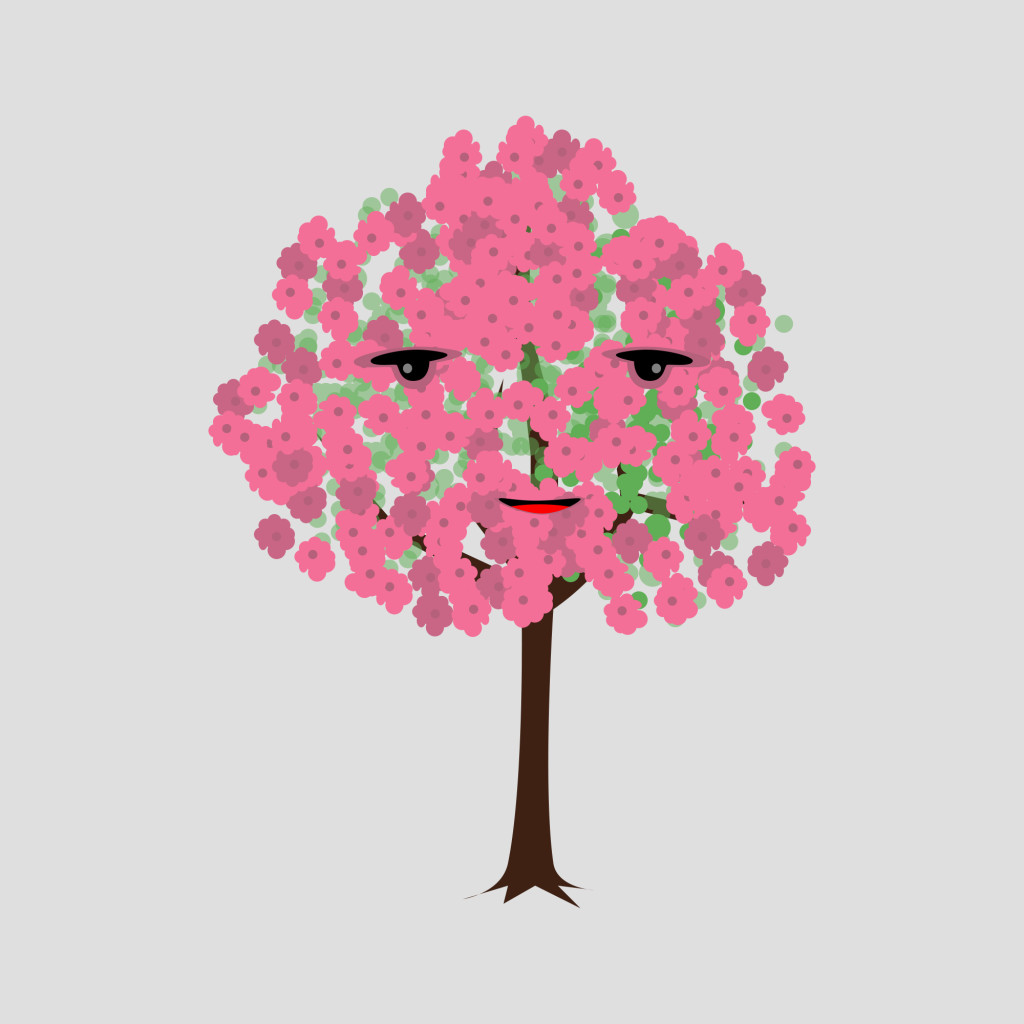 Cherry Blossome tree