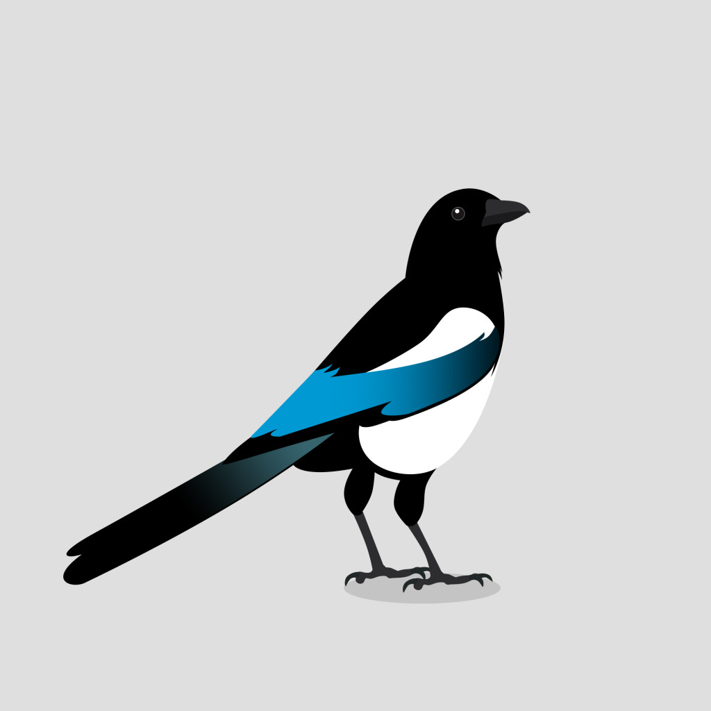 Magpie Elster