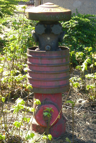 hydrant_uni_koeln_kl.jpg